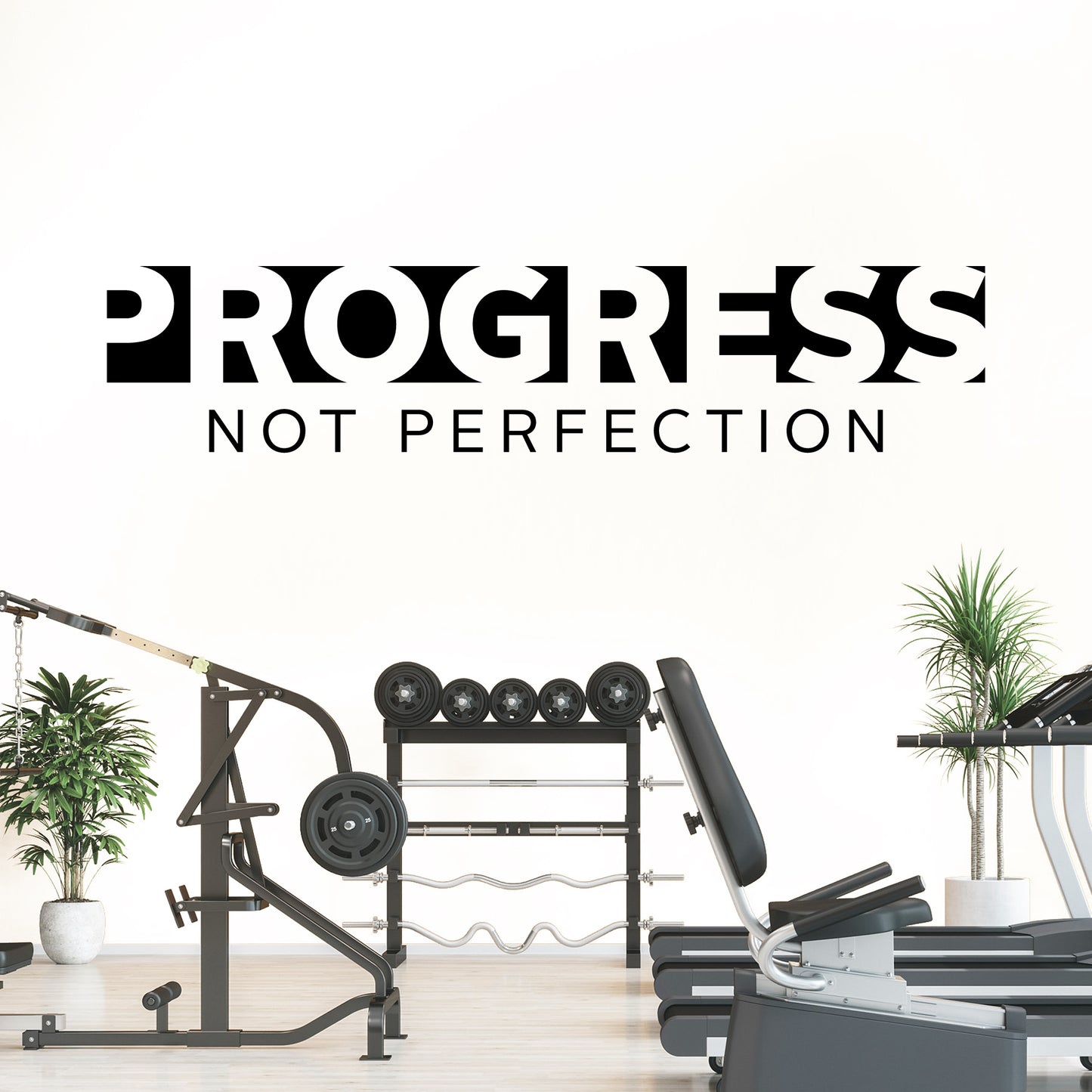 Gym equipment with 'Progress Not Perfection' text on a white background