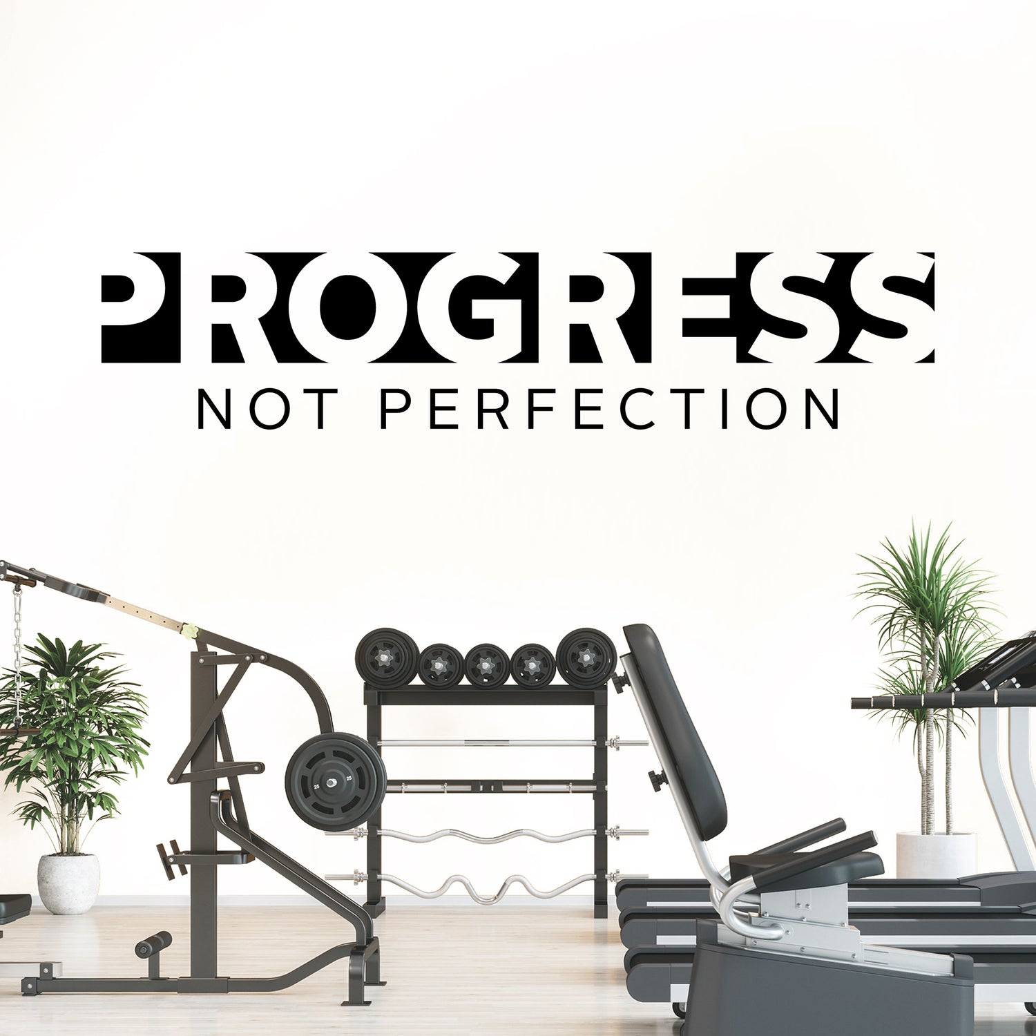 Gym equipment with 'Progress Not Perfection' text on a white background