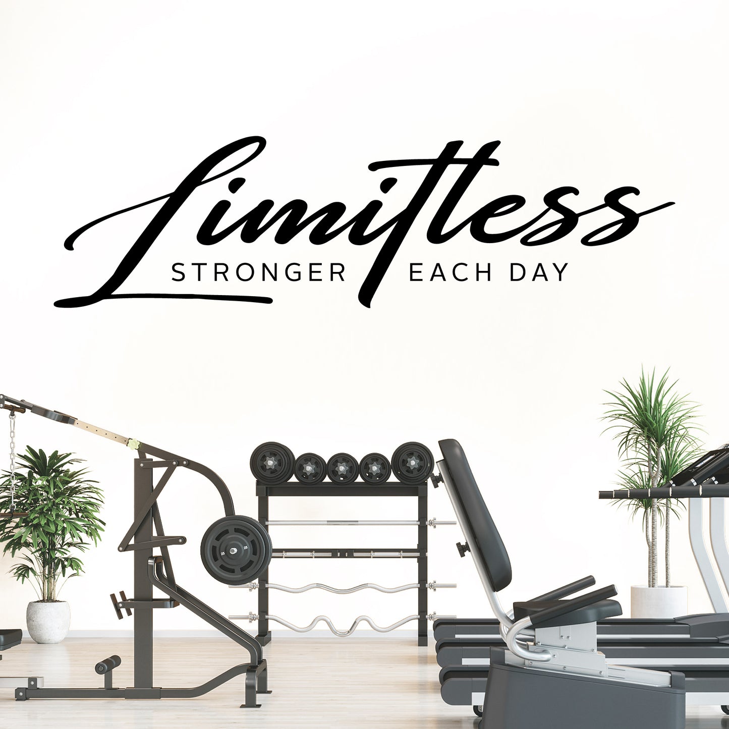 Gym equipment with 'Limitless Stronger Each Day' text on a white background