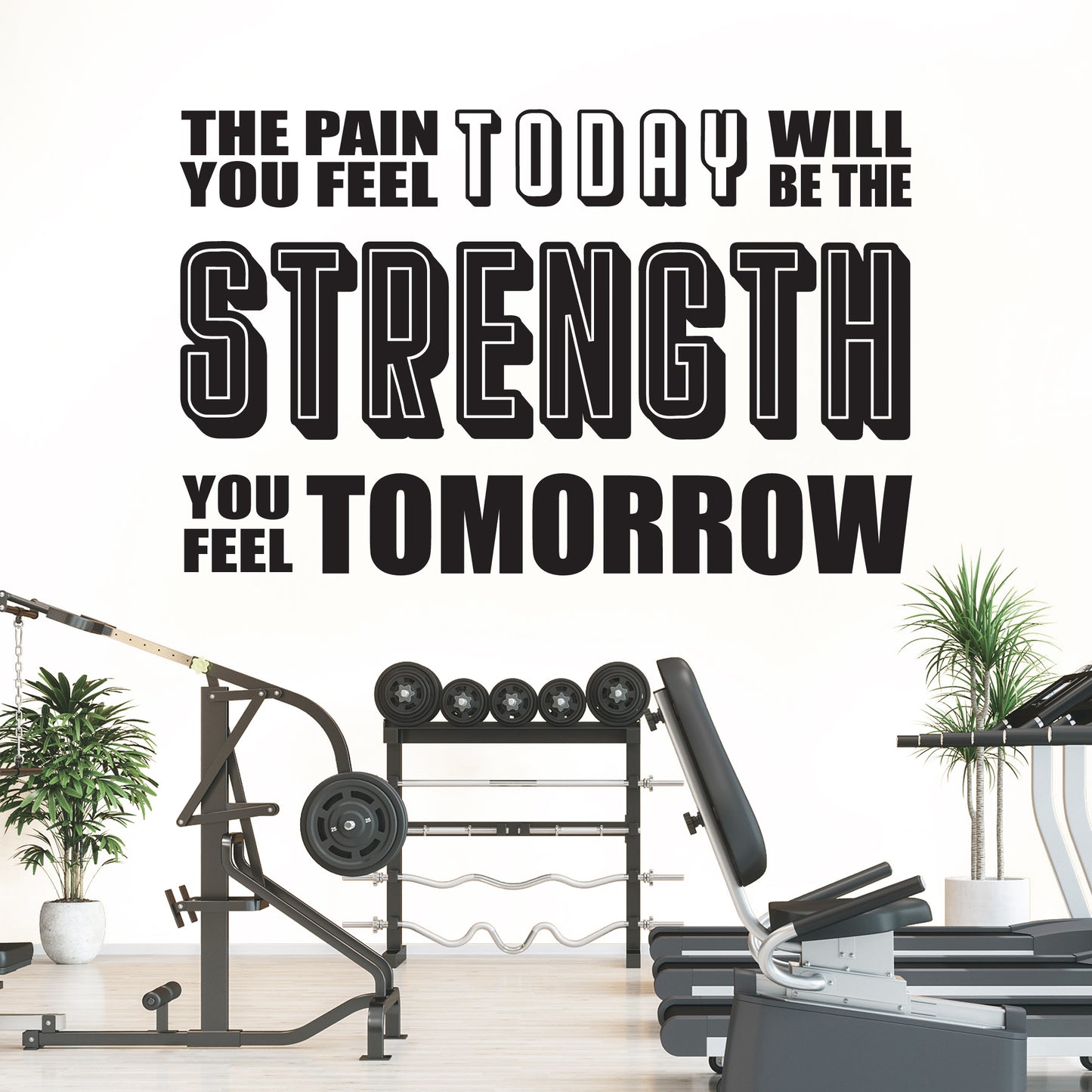 Gym Wall Decal “The pain you feel today, will be the strength you feel tomorrow”, Motivational Fitness Quote