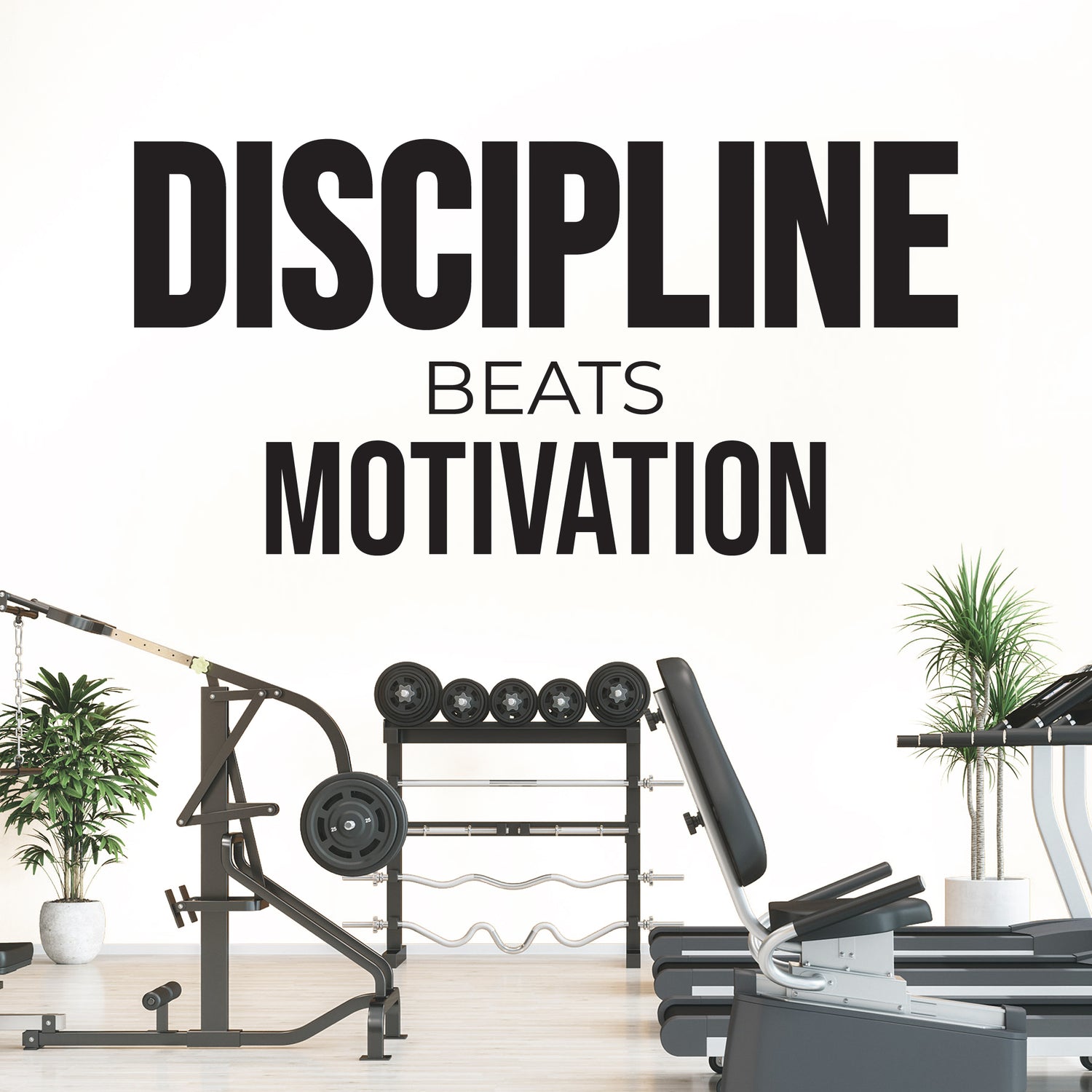 Gym equipment with 'Discipline Beats Motivation' text on a white background