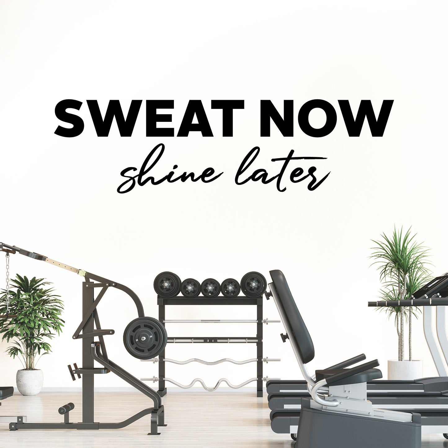 Gym equipment with motivational quote 'Sweat now, shine later' on a white background