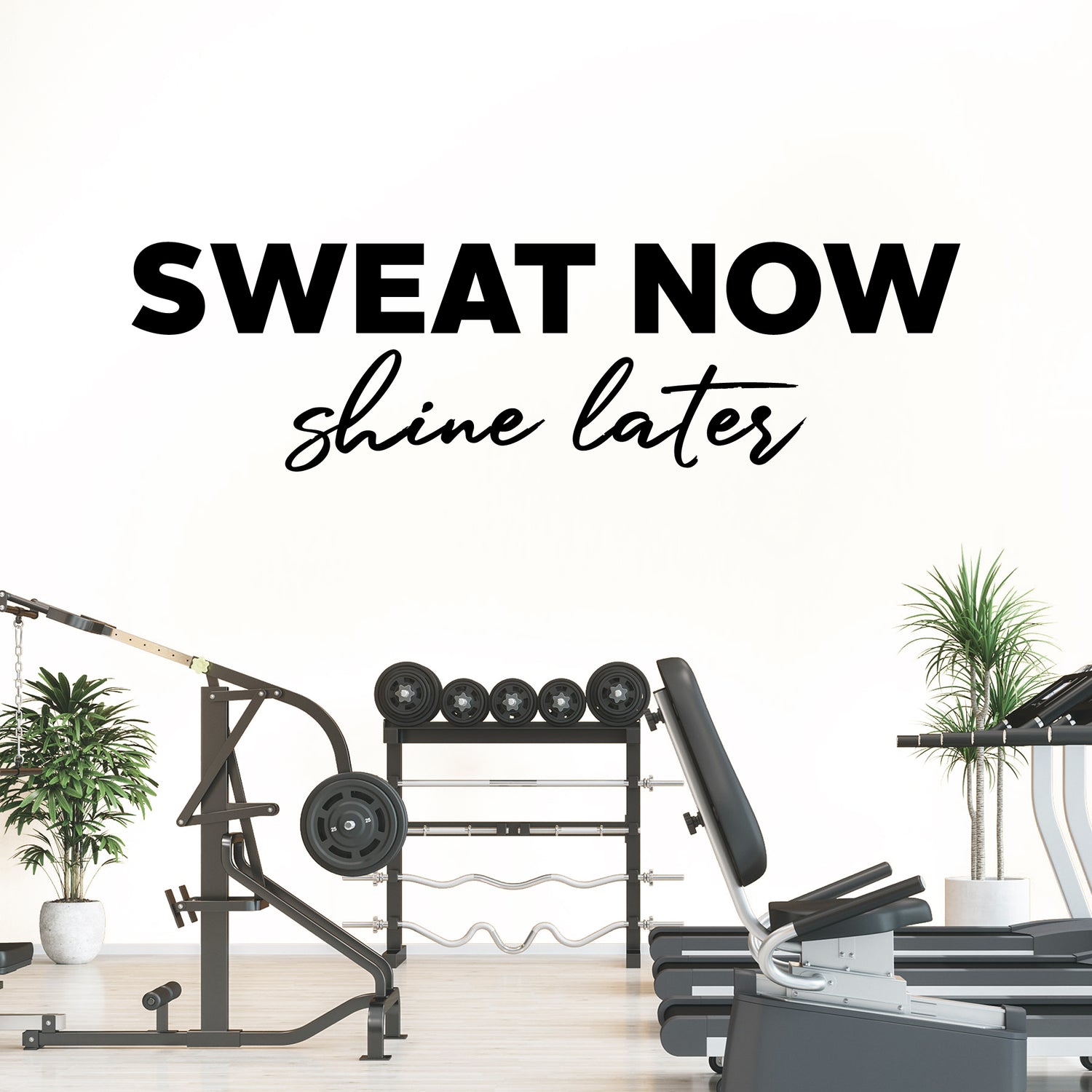 Gym equipment with motivational quote 'Sweat now, shine later' on a white background