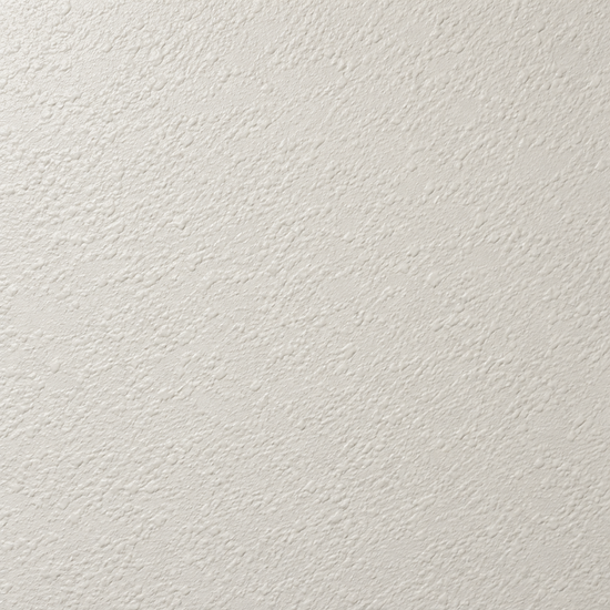 Lightly textured painted wall with subtle uneven surface